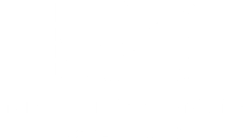 Logo option 1